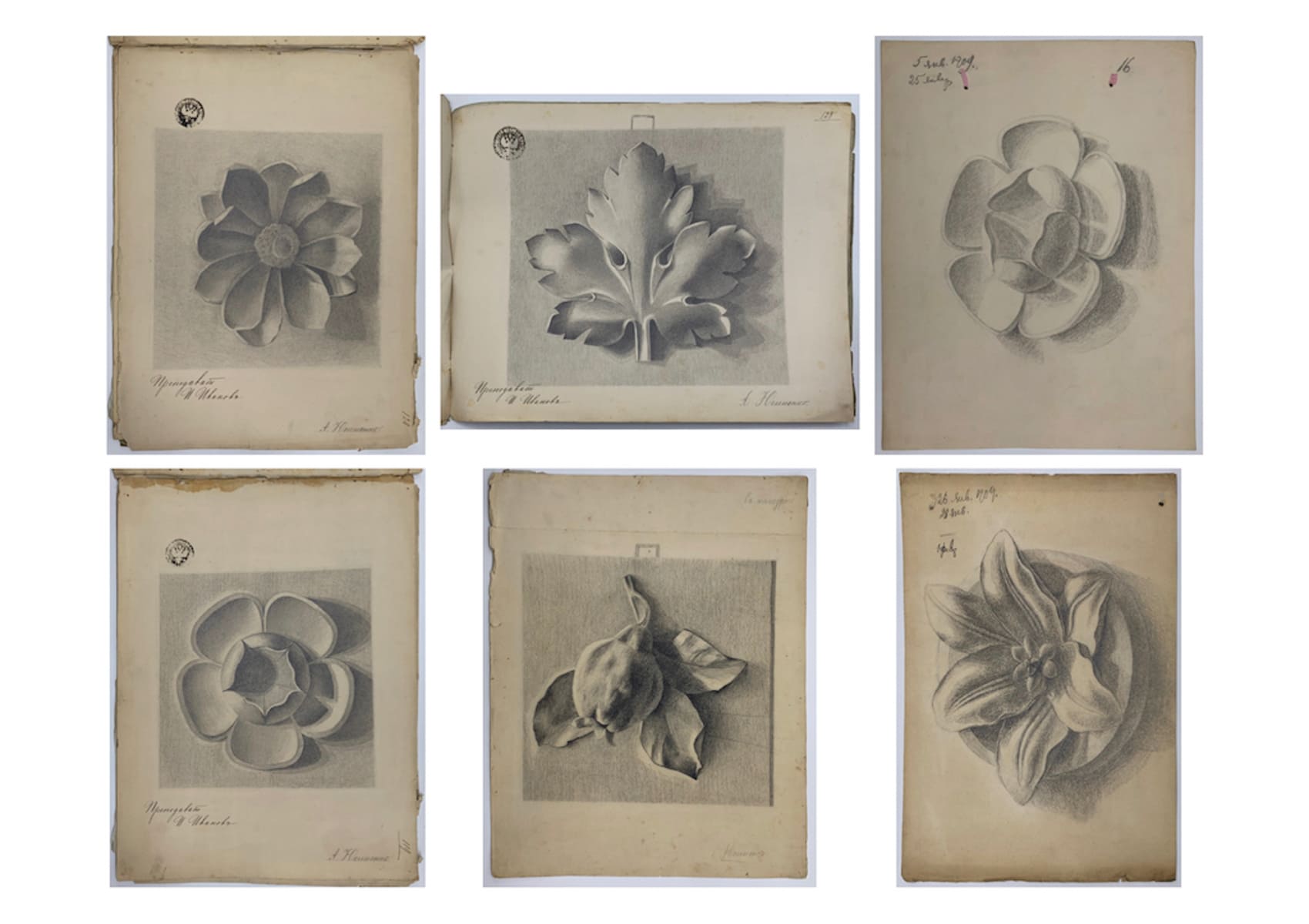 Portfolio of 41 Russian Academic drawings