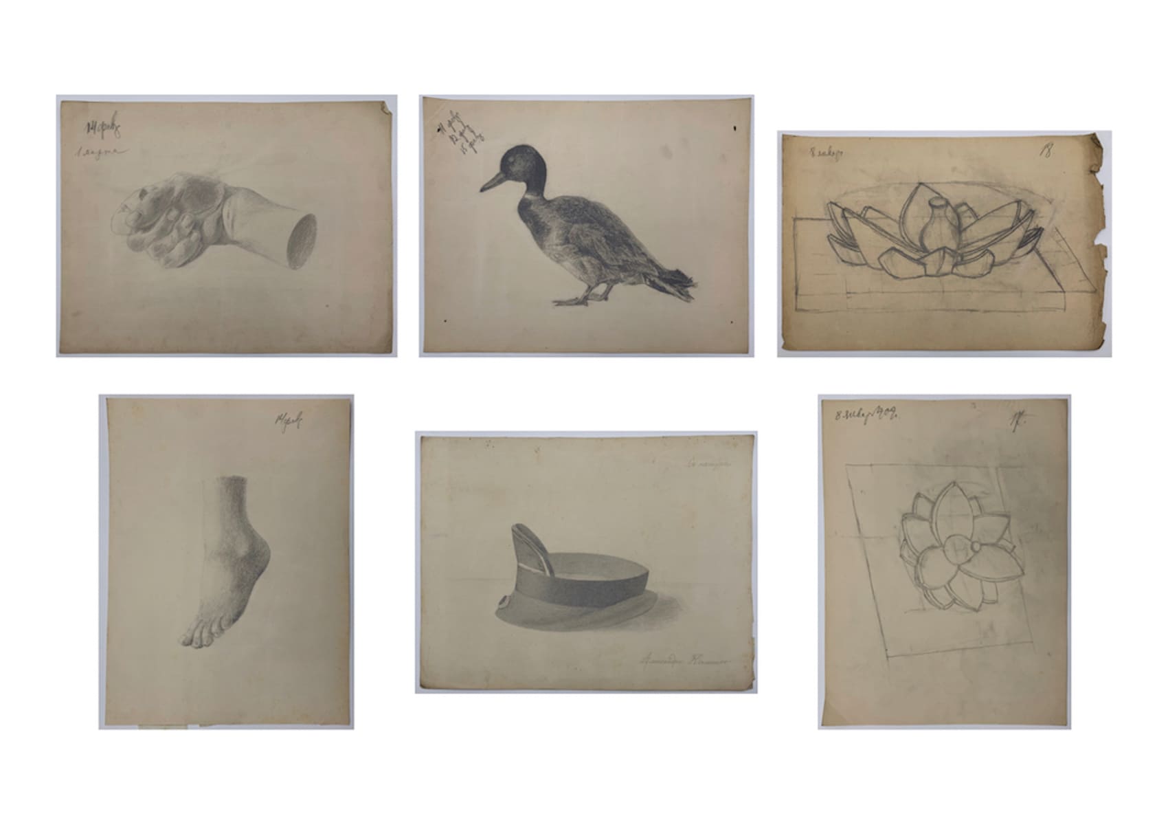 Portfolio of 41 Russian Academic drawings