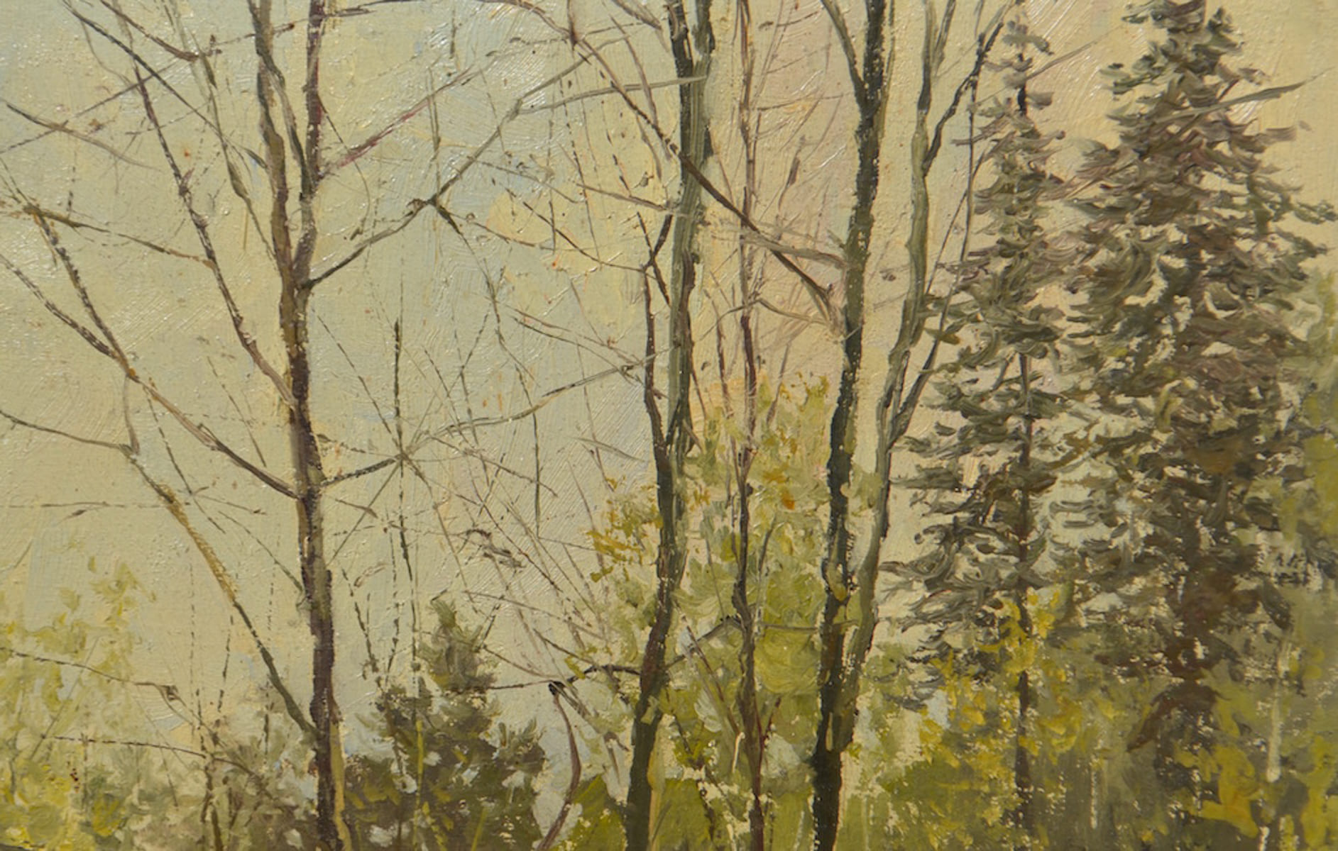 Fedor Karlovich BURKHARDT (1854-1918) Russian